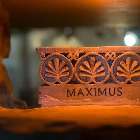 Maximus Hotel 2*